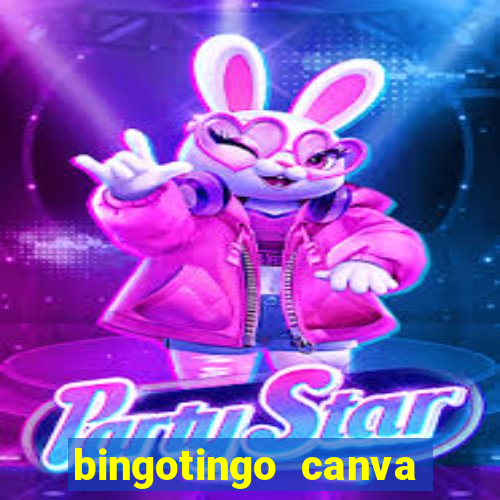 bingotingo canva pro gratis